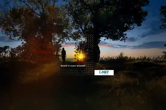nef istituzionale