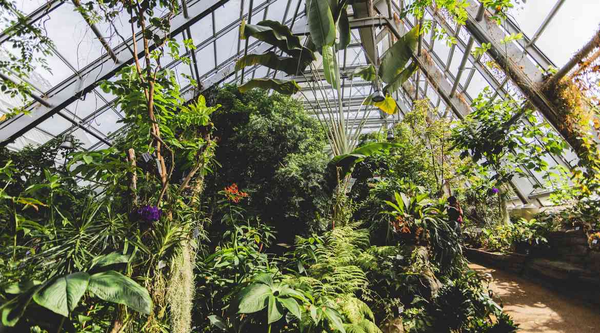 7 Muse Orchidarium 2022 Michelepurin