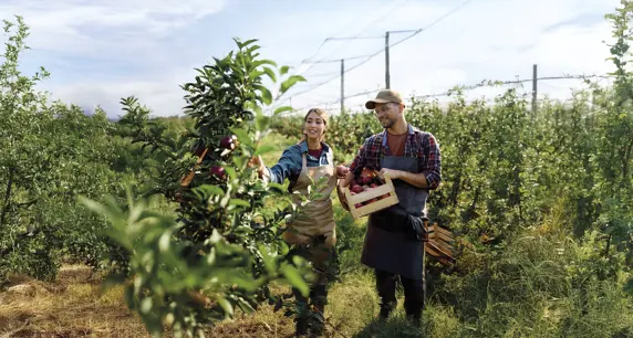 Difesa a tutto Campo 