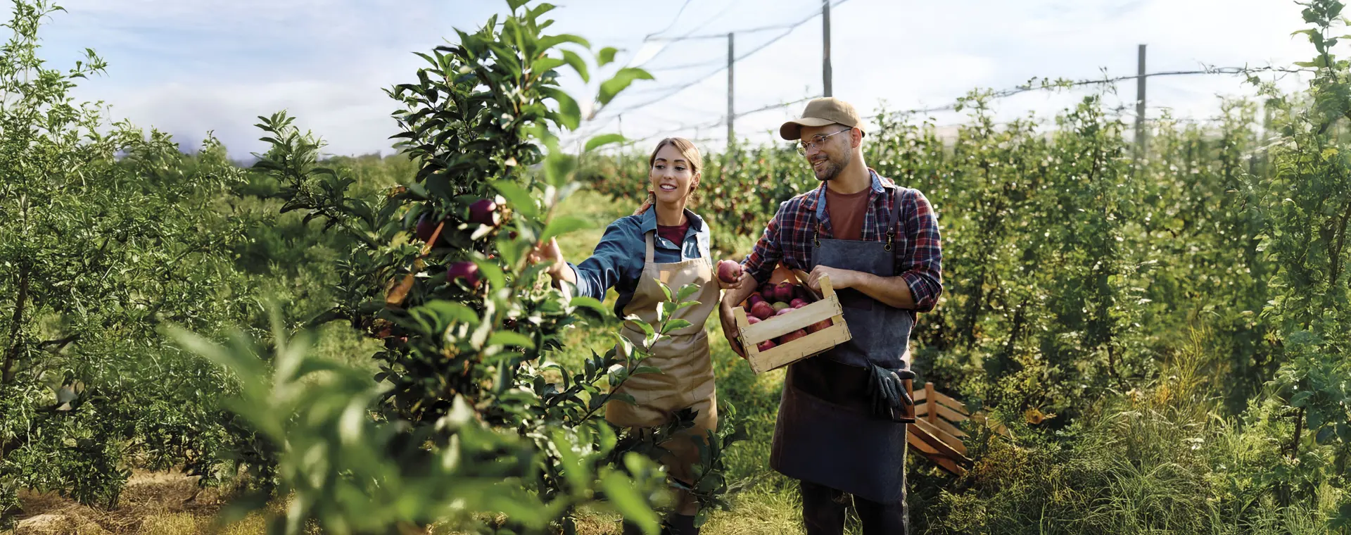 Difesa a tutto Campo. Proteggi i frutti del tuo lavoro