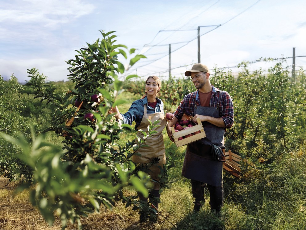 Difesa a tutto Campo. Proteggi i frutti del tuo lavoro