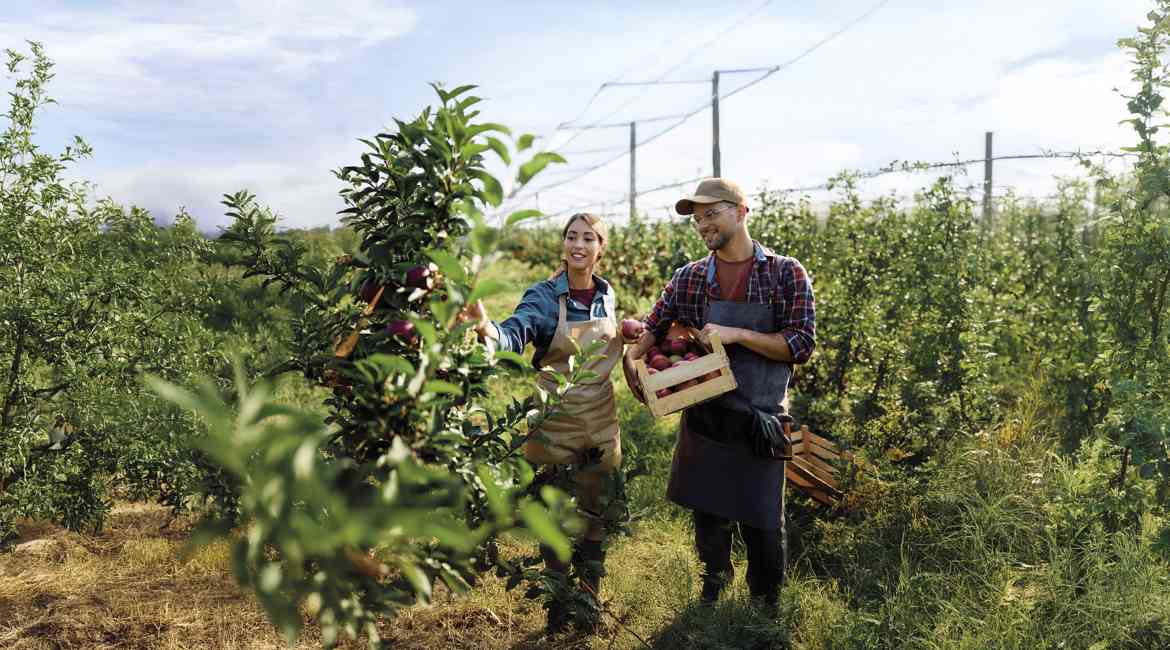 BPTS 2024 DIFESA A TUTTO CAMPO 4000X2250 VISUAL WEB